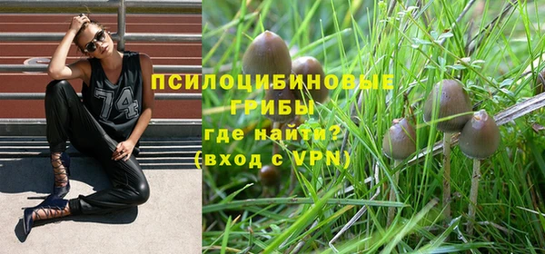 кокс Ладушкин