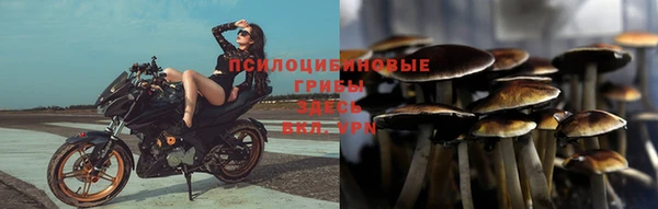 трава Лабытнанги