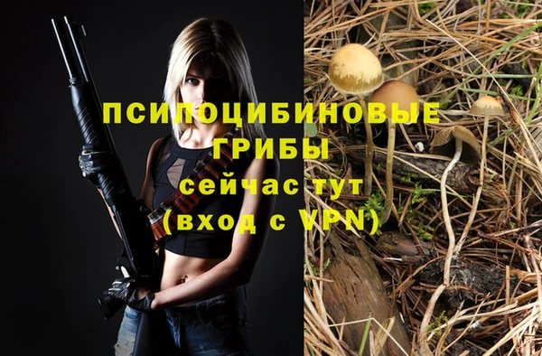 трава Лабытнанги