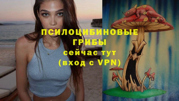трава Лабытнанги