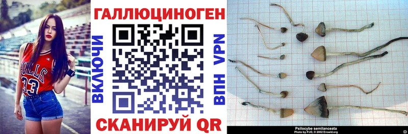 Галлюциногенные грибы ЛСД  Ессентуки 