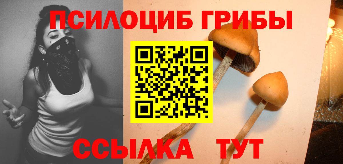где можно купить наркотик  Псилоцибиновые грибы Cubensis  Вход с VPN  Ессентуки 